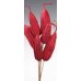 JINGA Red 16"- OUT OF STOCK